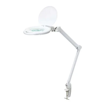 LED bordlampe med lup dæmpbar LED/10W/230V hvid