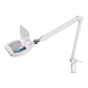 LED bordlampe med lup dæmpbar LED/12W/230V hvid