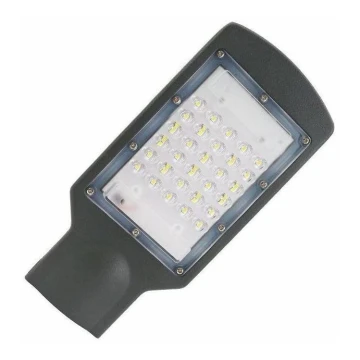 LED gadelampe LED/30W/170-400V IP67