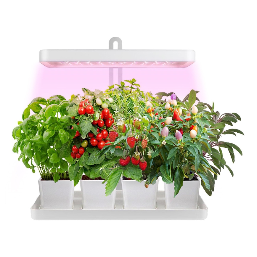 LED Interiørlampe til planter LED/20W/5V 3500K