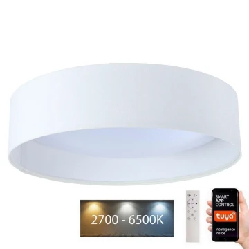 LED lampe dæmpbar SMART GALAXY LED/36W/230V diameter 55 cm Wi-Fi Tuya + fjernbetjening