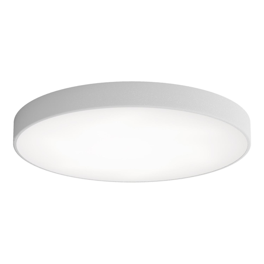 LED loftlampe CLEO LED/96W/230V 3000K diameter 80 cm grå