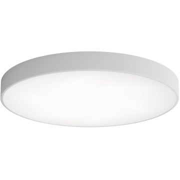 LED loftlampe CLEO LED/96W/230V 4000K diameter 80 cm grå