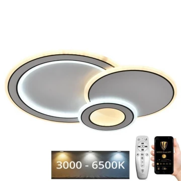LED loftlampe dæmpbar LED/40W/230V 3000-6500K + fjernbetjening
