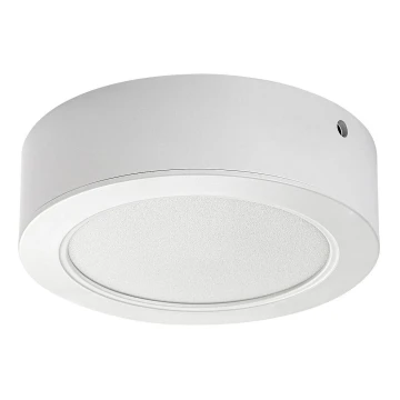 LED loftlampe LED/12W/230V diam. 14,5 cm