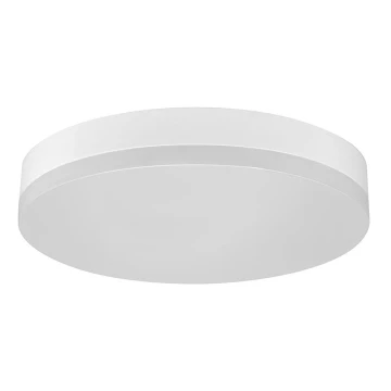 LED loftlampe LED/12W/230V IP44