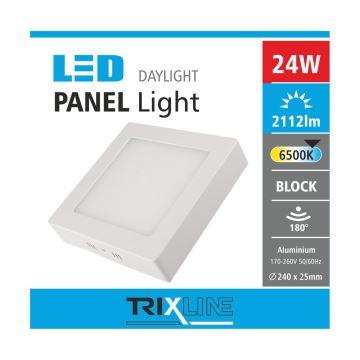 LED loftlampe LED/24W/230V 6500K