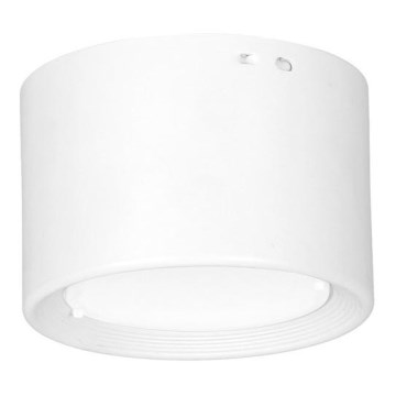 LED loftlampe LED/6W/230V hvid diameter 8 cm