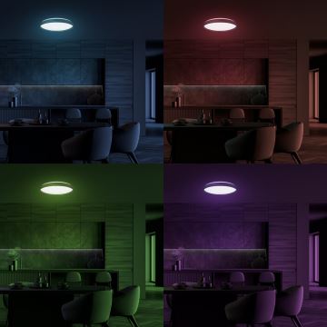 LED loftlampe m. RGB-farver dæmpbar RINGO LED/36W/230V + fjernbetjening