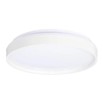 LED loftlampe TEXAS LED/15W/230V hvid