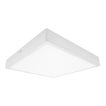 LED loftlampe til badeværelse EGON LED/16W/230V IP44 4000K