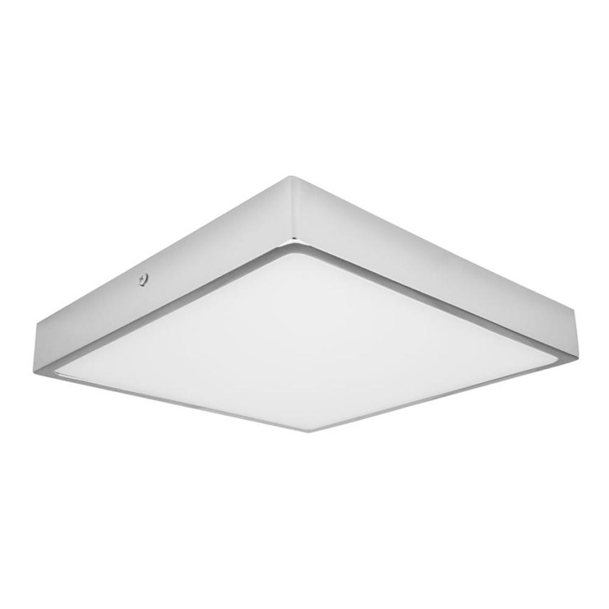 LED loftlampe til badeværelse EGON LED/30W/230V IP44 3000K