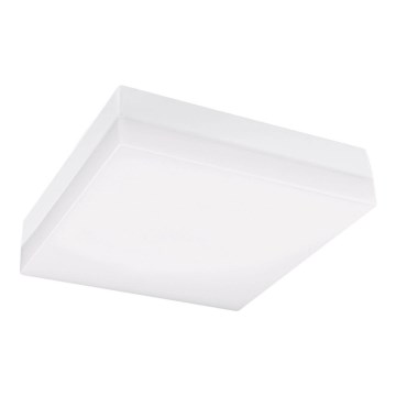 LED loftlampe til badeværelse LED/12W/230V 3000/4000/6000K 22x22 cm IP44