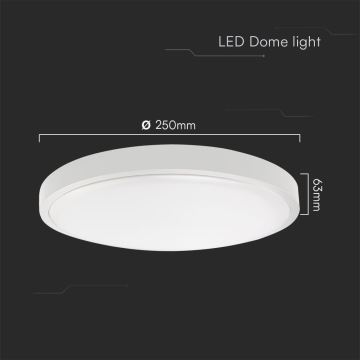 LED loftlampe til badeværelse LED/18W/230V IP44 4000K diameter 25 cm hvid