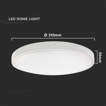 LED loftlampe til badeværelse LED/24W/230V 6500K IP44 hvid