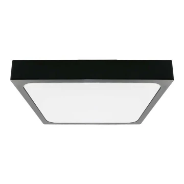 LED loftlampe til badeværelse LED/24W/230V 6500K IP44 sort