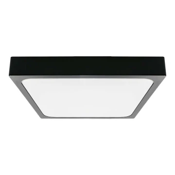 LED loftlampe til badeværelse LED/30W/230V 4000K IP44 sort