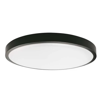 LED loftlampe til badeværelse LED/30W/230V 6500K IP44 sort