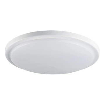LED loftlampe til badeværelse ORTE LED/24W/230V IP54