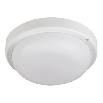 LED loftlampe til badeværelse TOLU LED/9W/230V 4000K IP54 hvid