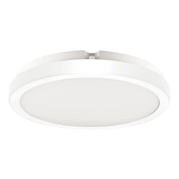 LED loftlampe til badeværelse VERA LED/24W/230V 4000K IP65 hvid