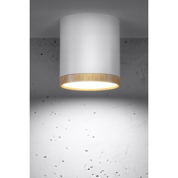 LED loftlampe TUBA LED/5W/230V hvid/beige