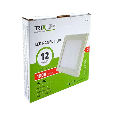 LED loftsbelysning LED/12W/230V 4200K