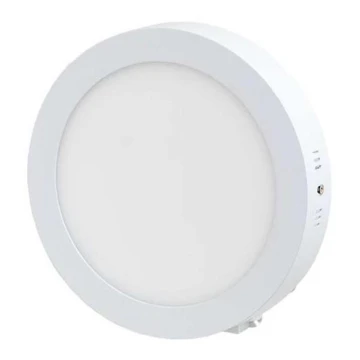 LED loftsbelysning LED/12W/230V