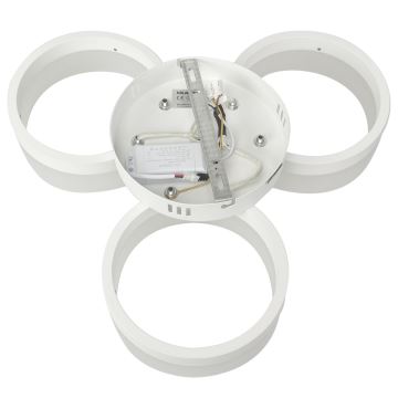 LED loftsbelysning RING 3xLED/12W/230V hvid