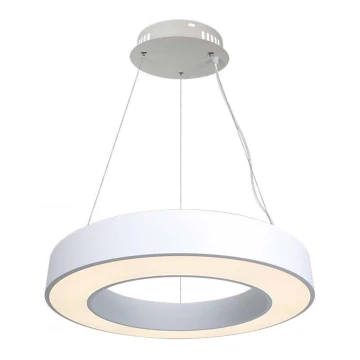 LED pendel dæmpbar LED/50W/230V 4000K diameter 60 cm hvid