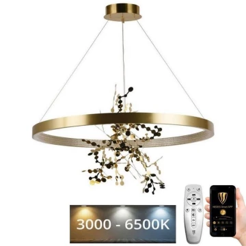 LED pendel dæmpbar LED/55W/230V 3000-6500K guldfarvet + fjernbetjening