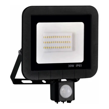 LED projektør med sensor LED/30W/230V IP65