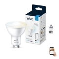 LED-pære dæmpbar PAR16 GU10/4,7W/230V 2700-6500K CRI 90 Wi-Fi - WiZ