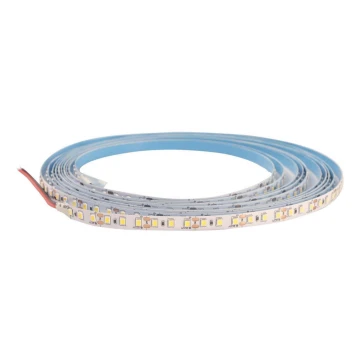 LED strip DAISY 30 m koldt hvidt lys