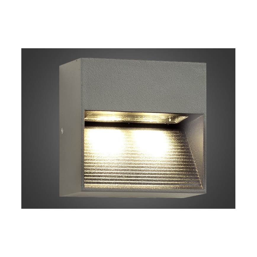 LED udendørs væglampe NINION LED/2W/230V IP54