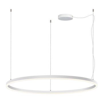 LED2 - LED pendel dæmpbar CIRCLE LED/80W/230V 3000K/4000K diameter 100 cm hvid