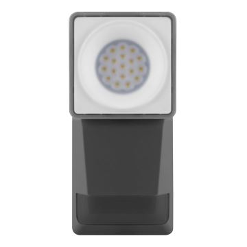 Ledvance - Udendørs LED væglampe med sensor SPOT LED/8W/230V IP55 sort