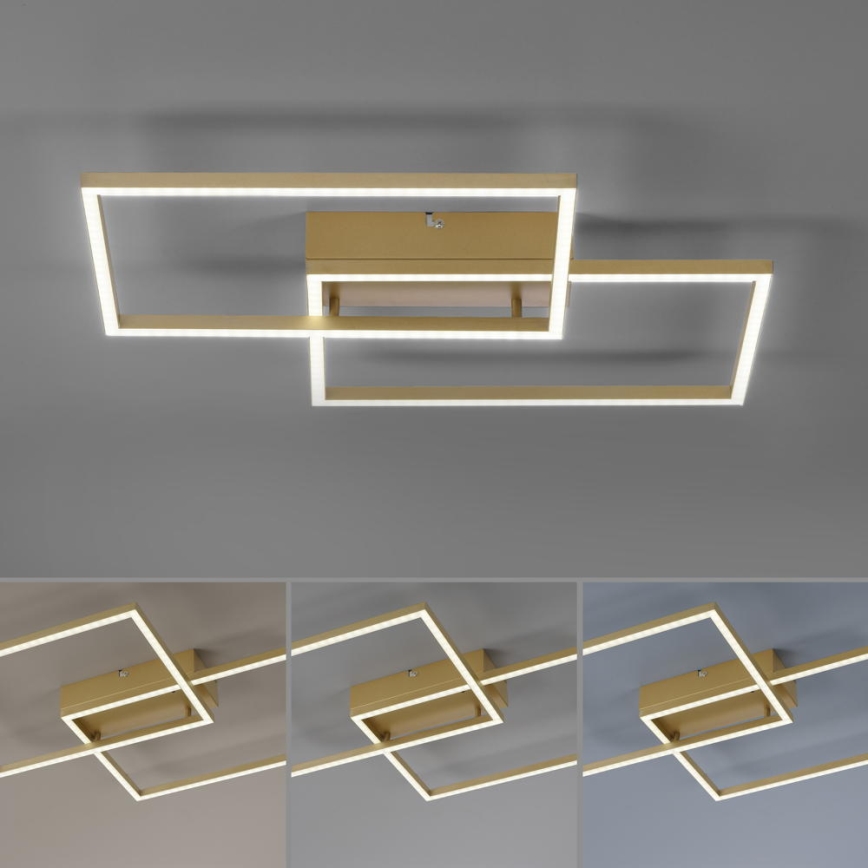 Leuchten Direkt 14018-60 - LED loftlampe dæmpbar IVEN 2xLED/15W/230V guldfarvet + fjernbetjening