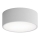 Loftlampe til badeværelse CLEO 1xE27/24W/230V diameter 20 cm grå IP54