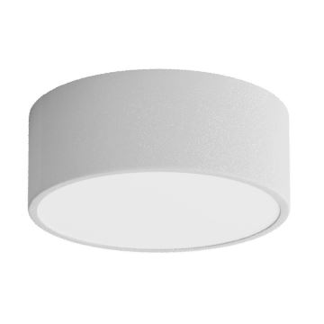 Loftlampe til badeværelse CLEO 1xE27/24W/230V diameter 20 cm grå IP54