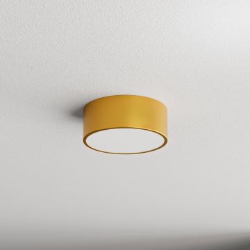 Loftlampe til badeværelse CLEO 1xE27/24W/230V diameter 20 cm guldfarvet IP54