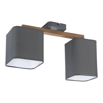 Loftlampe TORA 2xE27/15W/230V grå