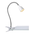 Markslöjd 106091 - LED bordlampe med klemme TULIP LED/3W/230V hvid