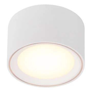 Nordlux - LED spotlampe FALLON LED/5,5W/230V hvid