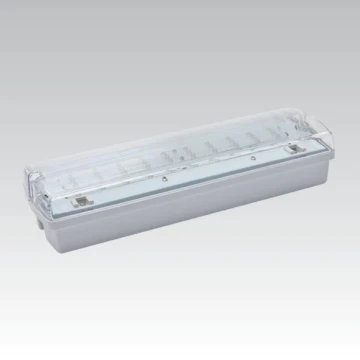 Nødlampe CARLA LED LED/5,51W/230V temporary 1h IP65