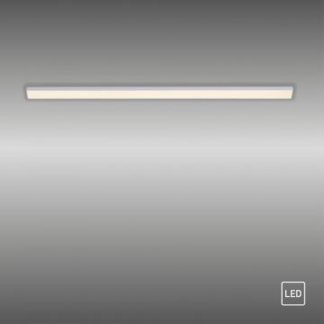 Paul Neuhaus 1125-21-A - LED Forlængelse under køkken cabinet lys AMON LED/6W/12/230V