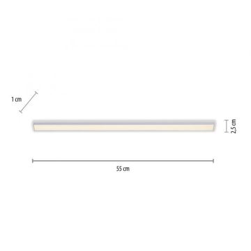 Paul Neuhaus 1125-21-A - LED Forlængelse under køkken cabinet lys AMON LED/6W/12/230V