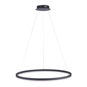 Paul Neuhaus 2383-13 - LED pendel dæmpbar TITUS LED/50W/230V