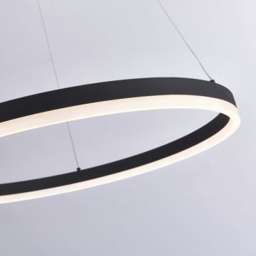Paul Neuhaus 2383-13 - LED pendel dæmpbar TITUS LED/50W/230V