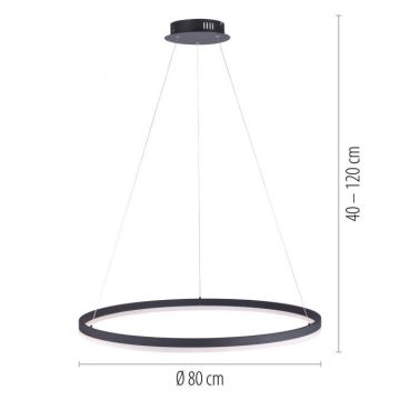 Paul Neuhaus 2383-13 - LED pendel dæmpbar TITUS LED/50W/230V